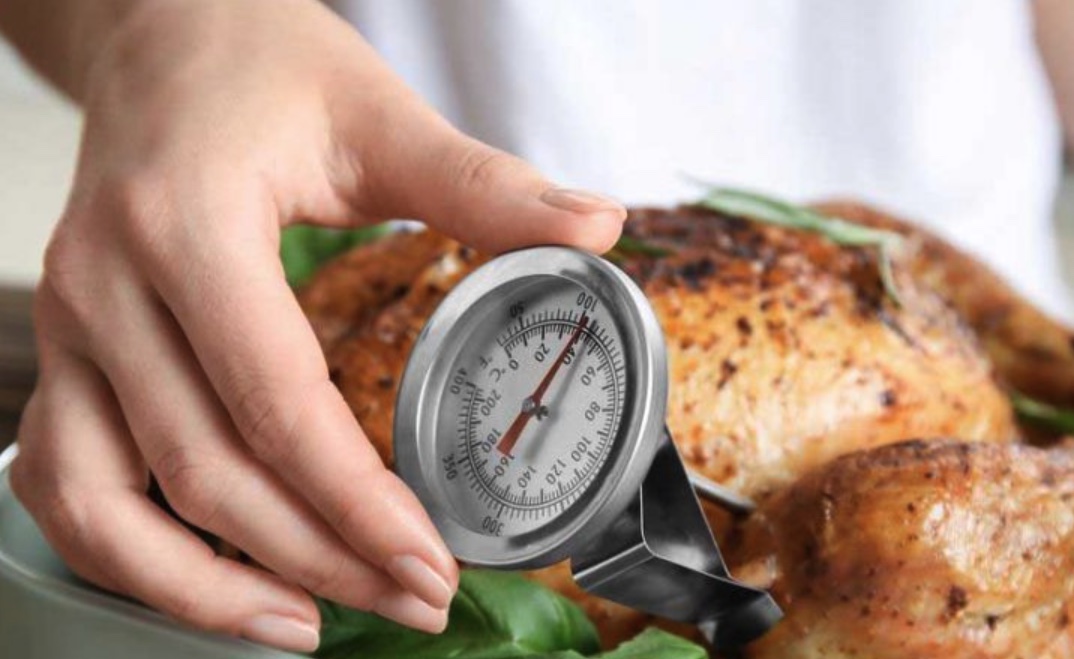 Where To Insert A Meat Thermometer In A Turkey The Indoor Haven