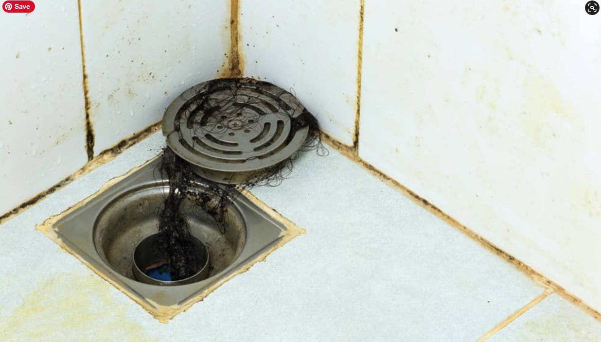 how-do-i-get-rid-of-the-smell-in-my-shower-drain-the-indoor-haven